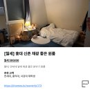 잇홈