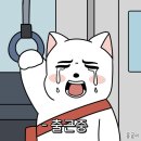 우리만의 자유로운 nineteen&#39;s kitsch🖤