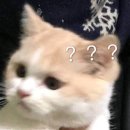 어세스 이미지