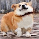 볼수룩