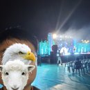 예술인의 한마당 | 정읍 예술인 한마당 참여후기