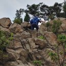 낙성대로 이미지