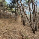 내4리 경로당 이미지