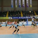 보성실업 이미지