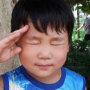 원종고등학교 이미지