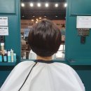 헤어보브 이미지