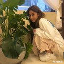 신흥내츄럴 이미지