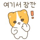 세교온누리 약국 이미지