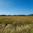 서검리선착장 이미지