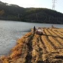 삼호농장3 이미지