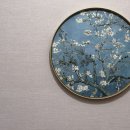 양반집갈비(김양반갈비) 이미지