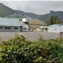 화원농협주유소 이미지