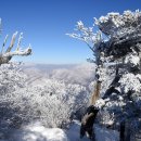 제44회차 태백산(1.567m)강원도 태백시 이미지