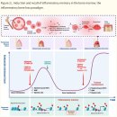 Re: Trained immunity의 만성염증, 악성종야에서의 역할 탐구!! 2025 네이처!! 이미지