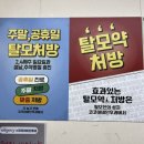 코코약국 - 양천구 등촌로 32 | 코코약국