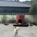 칠곡종합동물병원 이미지