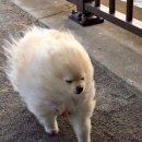 ㄱ카센타 이미지