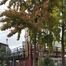 인사동.한정식.둘레골 이미지