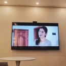 스테이인 1025 이미지