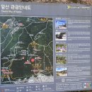 앞산 맛둘레길 바닥 | 대구 앞산 전망대 등산로 등산 후기