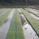 용락목장 이미지