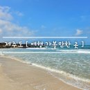 제동농장 | 여자친구 기념일 [ 제주도 여행 ] 2박 3일 여행 코스 feat. 가볼만한곳 정리