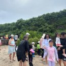 소망낚시앤.슈퍼 | [미국] 12월 괌 여행 - 돌핀투어 내돈내산 후기, 에메랄드 밸리, 스노쿨링, 에그앤띵스 오픈런 성공기