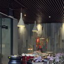 에코콜렉션 | 호이안 멀베리 컬렉션 실크 에코 후기에요