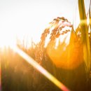 태양아트 이미지