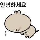 빅보스 복싱 체육관 이미지