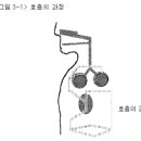 발성에서 본 호흡법 및 호흡종류 이미지