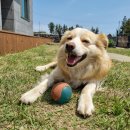 쥬쥬네 미깡밭 이미지