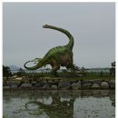 공룡박물관 Daum카페