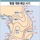 벚꽃 개화 예상 시기~~~~~~~~~~ 이미지