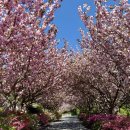 만수노인복지원 이미지