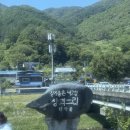 [경북/문경] 일 년에 딱 하루만 열리는 비밀의 사찰, 석가탄신일 봉암사 완벽 방문 후기🪷