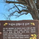 화도농협 하나로마트 녹촌점 이미지