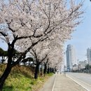 공운삼거리 네이버블로그