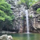 파래소 가든 이미지