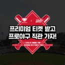 티켓존 이미지