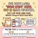 새건강 동물약국 이미지