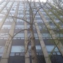 킹스빌딩 이미지