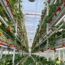 상근농장 | [강의] 심리학적 이해와 자격 취득 경험으로 풀어보는 치유농업