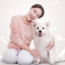 피씨에이치 이미지