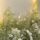 이승현뷰티 | W16. [웨딩 메이크업] 이승현웨딩 리허설 메이크업 솔직 후기