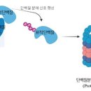 유빅스 이미지