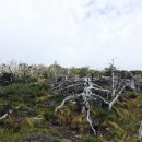 종달스토리 이미지