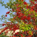 율사리마을회관 이미지