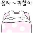 비학산생칼국수 이미지