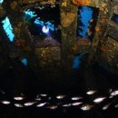 은상목장 이미지